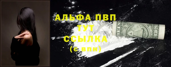 mix Богородицк
