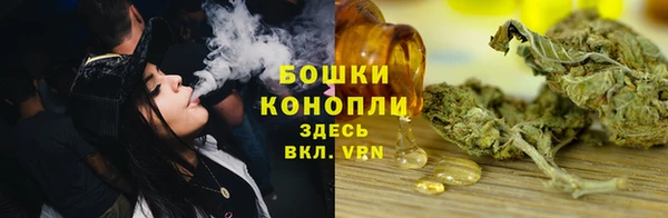 PSILOCYBIN Богданович