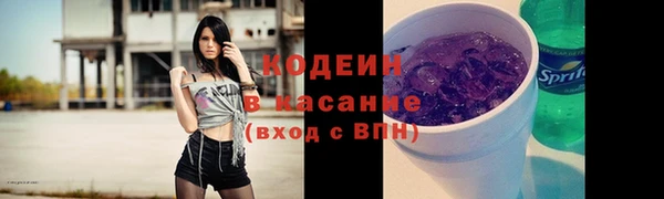 шишки Богородск
