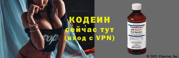 PSILOCYBIN Богданович