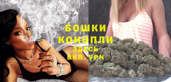 mix Богородицк