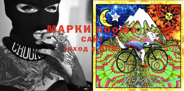 шишки Богородск