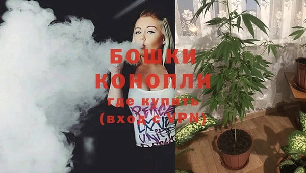 PSILOCYBIN Богданович
