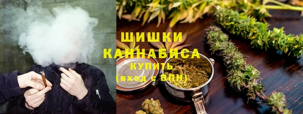 шишки Богородск