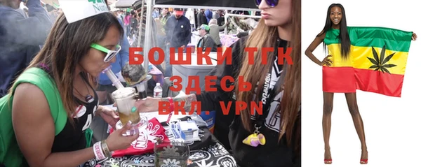 шишки Богородск