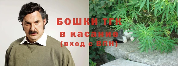 mix Богородицк
