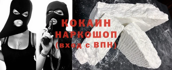 mix Богородицк