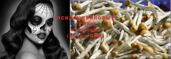 кокаин Белокуриха
