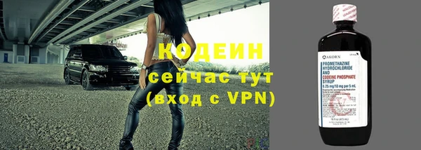 шишки Богородск